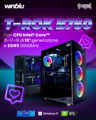 T-Rok B760