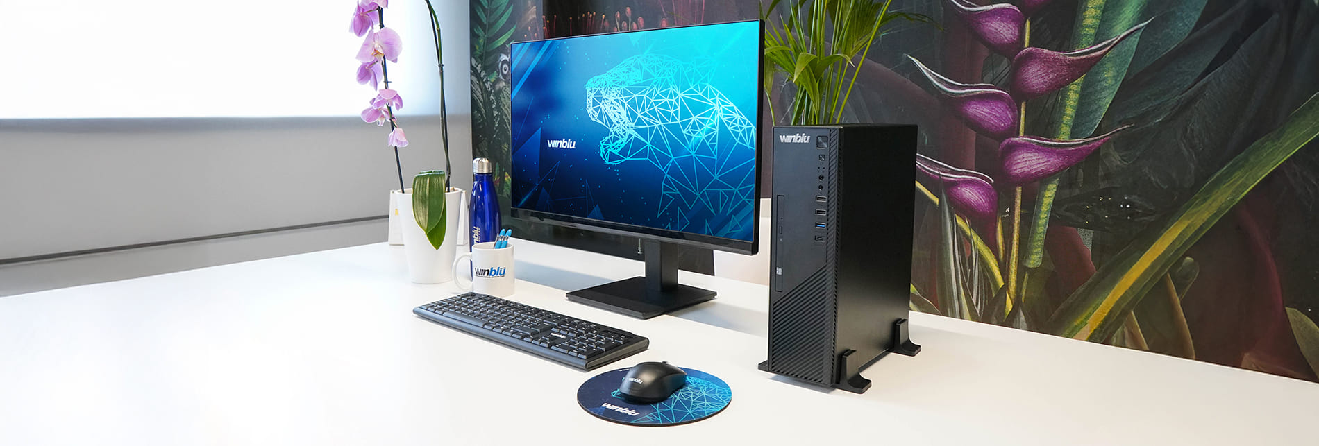 WINBLU ESSENTIAL