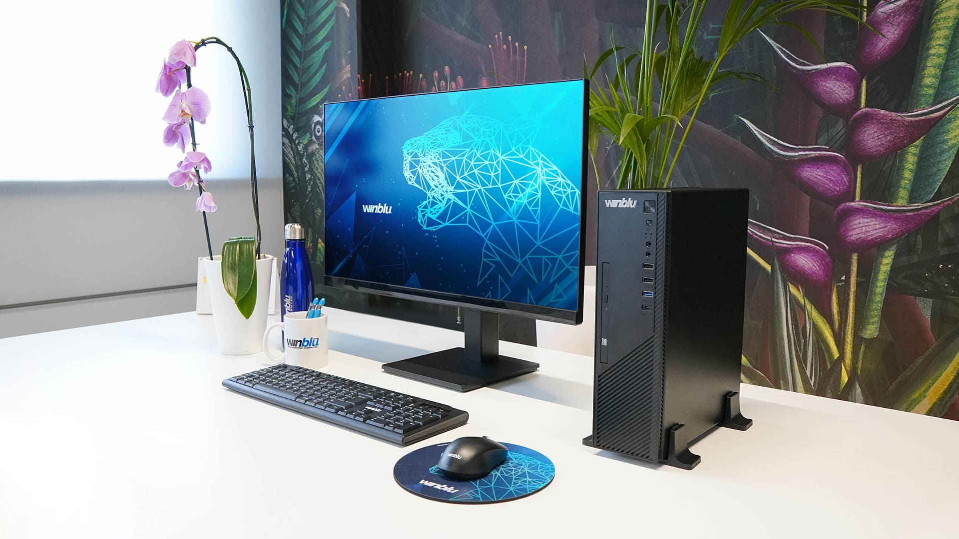 WINBLU ESSENTIAL