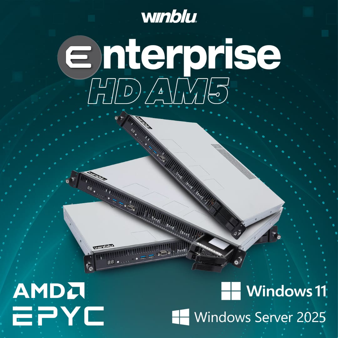 WINBLU server Enterprise HD AM5